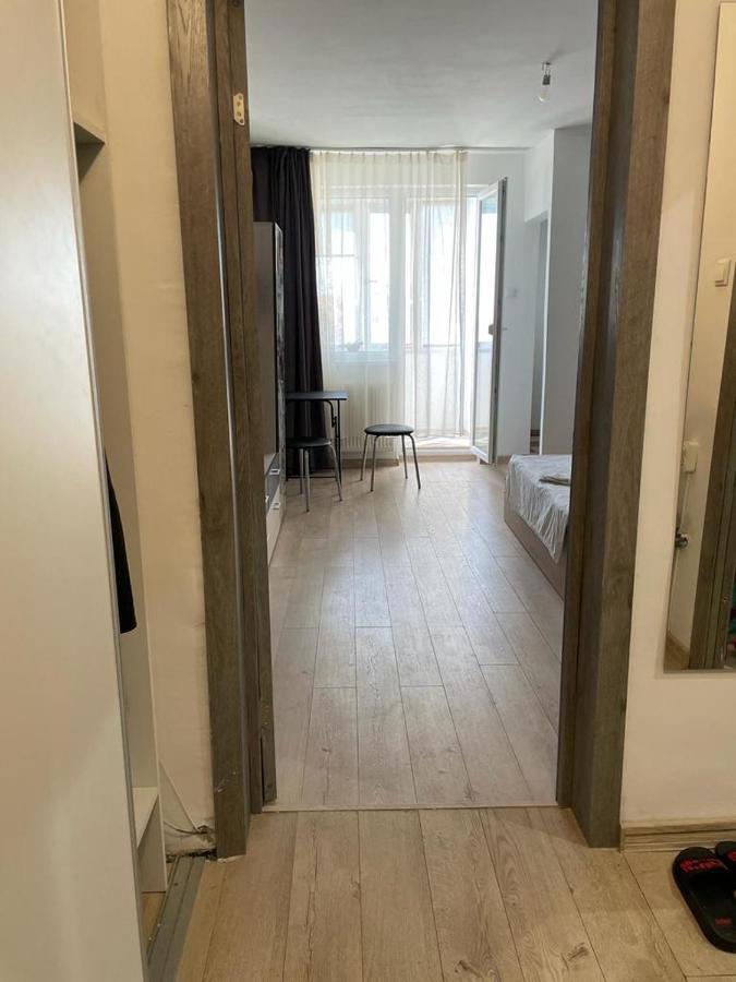 Bega Cirumvalatiunii One Room Apartment- 4 티미쇼아라 외부 사진