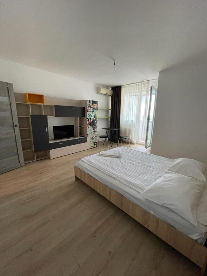 Bega Cirumvalatiunii One Room Apartment- 4 티미쇼아라 외부 사진